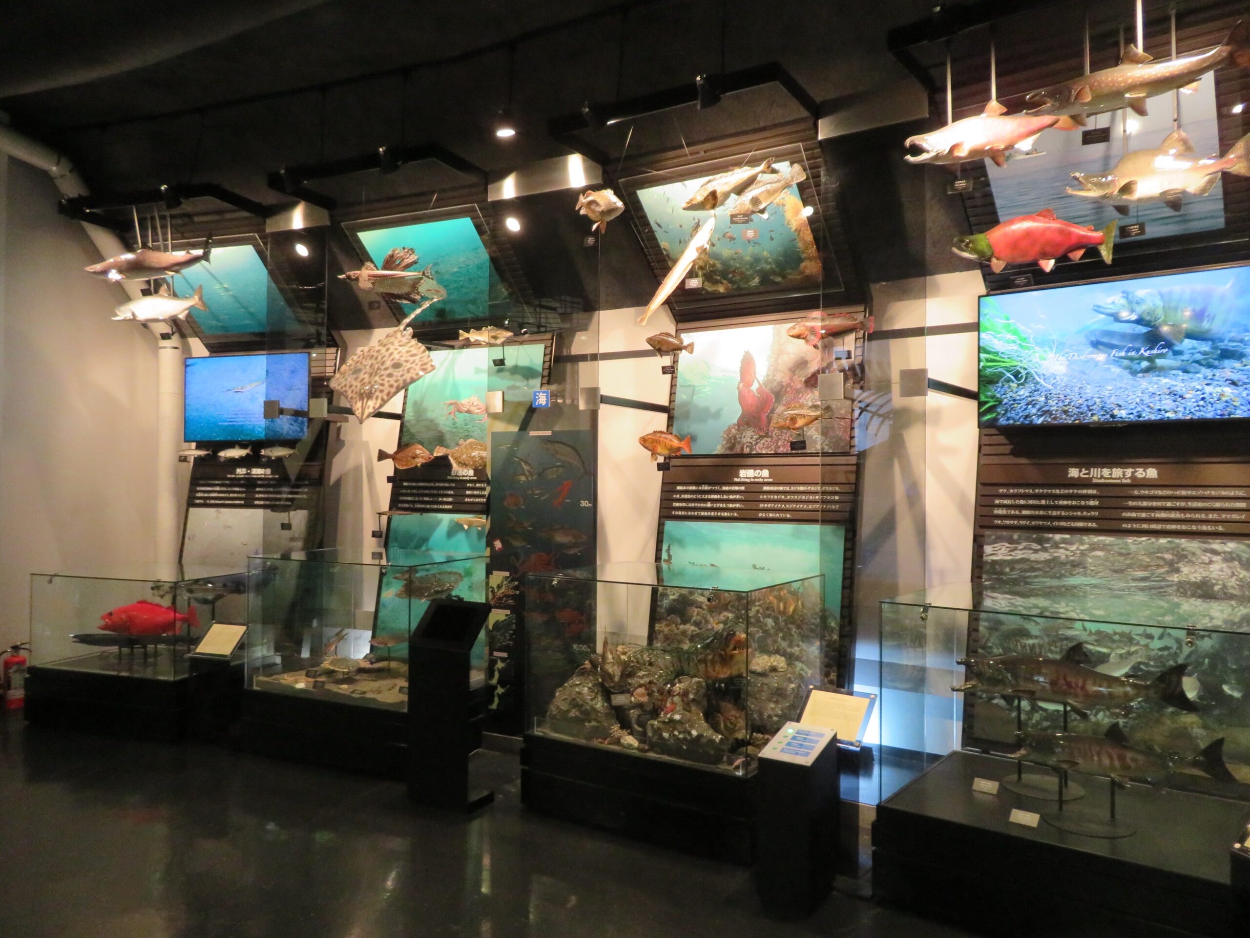 🏛️ 쿠시로 시립 박물관